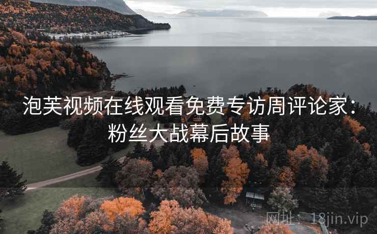 泡芙视频在线观看免费专访周评论家：粉丝大战幕后故事