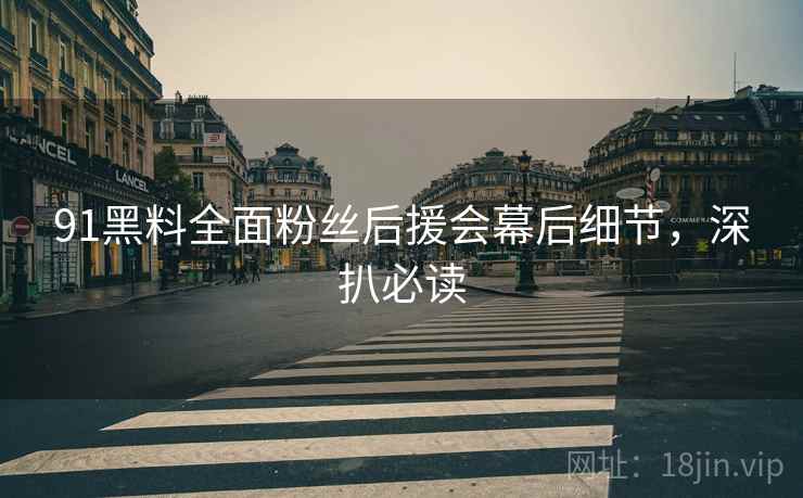 91黑料全面粉丝后援会幕后细节，深扒必读