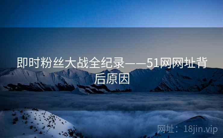 即时粉丝大战全纪录——51网网址背后原因