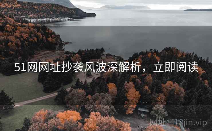 51网网址抄袭风波深解析，立即阅读