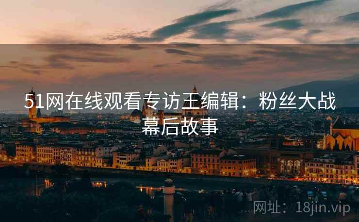 51网在线观看专访王编辑：粉丝大战幕后故事
