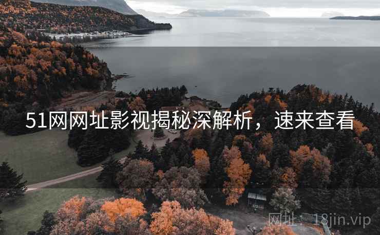 51网网址影视揭秘深解析，速来查看