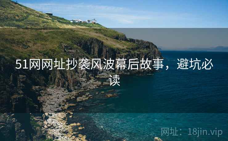 51网网址抄袭风波幕后故事，避坑必读