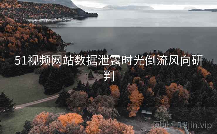 51视频网站数据泄露时光倒流风向研判